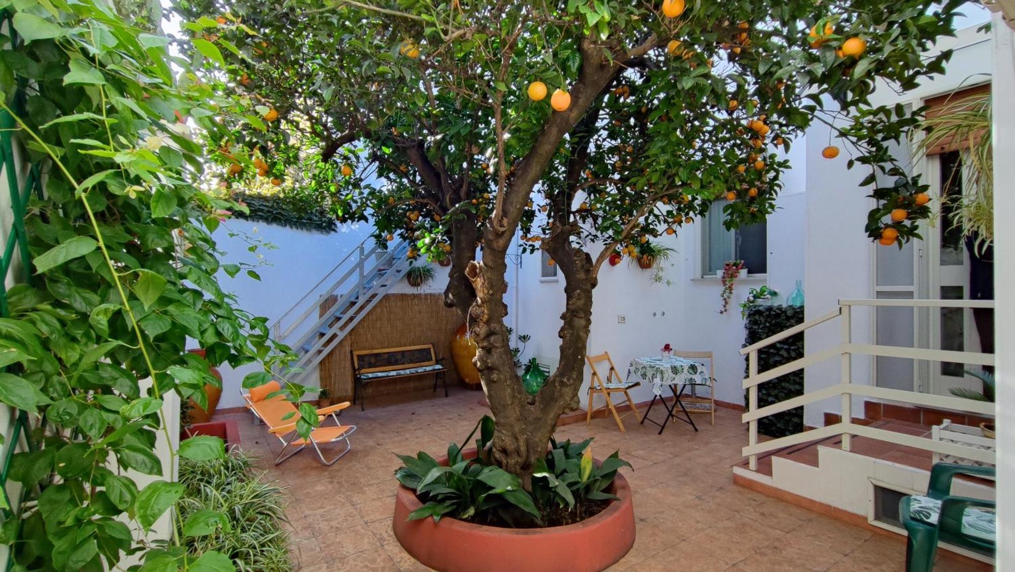 Casa Sofia: Comodi E Tranquilli Maruggio Exteriör bild